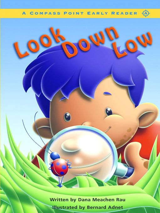 Title details for Look Down Low by Dana Meachen Rau - Available